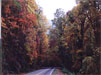 Smoky Mountains